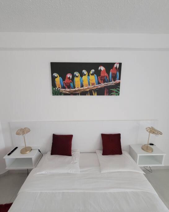 Hello Guyane, Suite Collection Cayenne Exterior foto