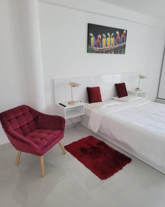 Hello Guyane, Suite Collection Cayenne Exterior foto
