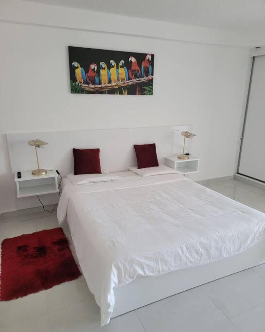 Hello Guyane, Suite Collection Cayenne Exterior foto